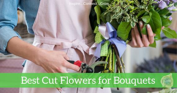 Grow Your Own Cut Flower Garden!