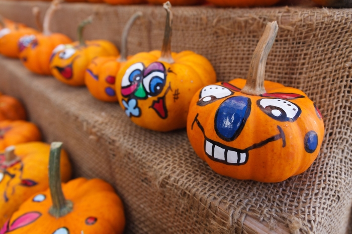 Painted Pumpkins Gourds - 